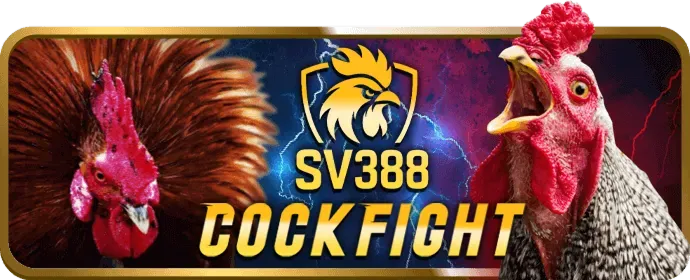 Thưởng chào mừng bet678